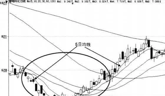 5日单一均线选股技巧 5day-moving-average-stock-selection-tips