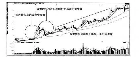 選股方法之培育寶馬良駒 stock-selection-method-to-cultivate-bmw-good-colts