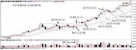 倉位及資金管理貢獻性 position-and-fund-management-contribution