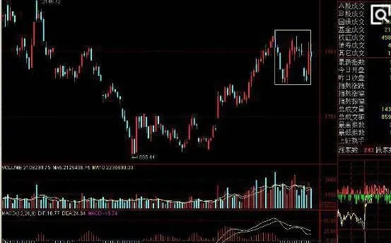 黑馬股要注意的三個特徵 three-characteristics-of-dark-horse-stocks-to-pay-attention-to