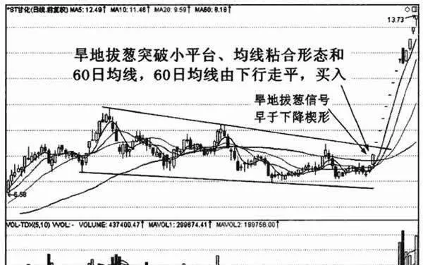 什麼是旱地拔蔥？旱地拔蔥形態技術詳解 what-is-pulling-onions-in-dry-land-detailed-explanation-of-the-morphological-technology-of-pulling-onion-in-dry-land