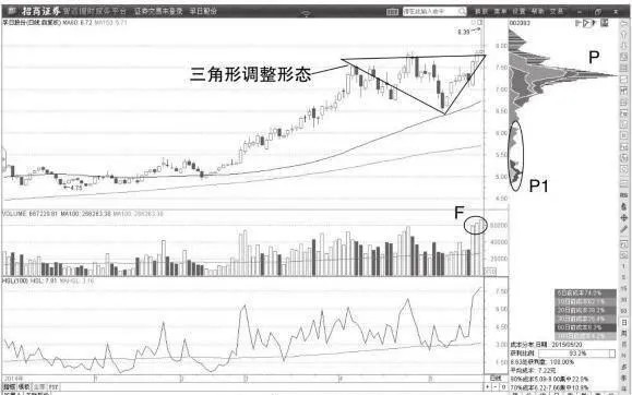 主力洗盤期間纏論調整中樞的三角形 during-the-main-shuffle-the-triangle-of-the-adjustment-center-is-adjusted