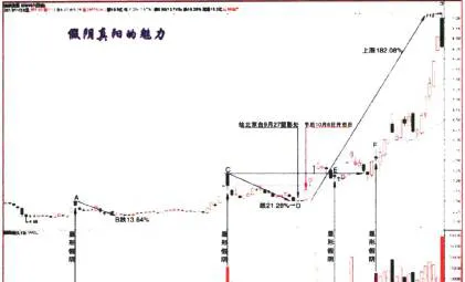 基础决定涨幅(津滨发展) foundation-determines-growth-tsuhama-development