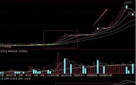 三分鐘看懂海豚張嘴形態，海豚嘴形態要點有哪些? three-minutes-to-understand-the-dolphin-mouth-shape-what-are-the-key-points-of-the-dolphin-mouth-form