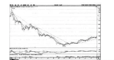 成功预见到2009年股市大涨 successfully-foresaw-a-sharp-stock-market-rally-in-2009