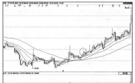 解析能源板块中选黑马股的技巧 analyze-the-tips-for-selecting-dark-horse-stocks-in-the-energy-sector