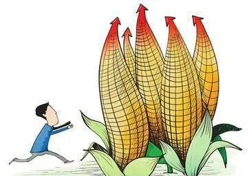 農業行業內重點公司的投資技巧 investment-tips-for-key-companies-in-the-agriculture-sector