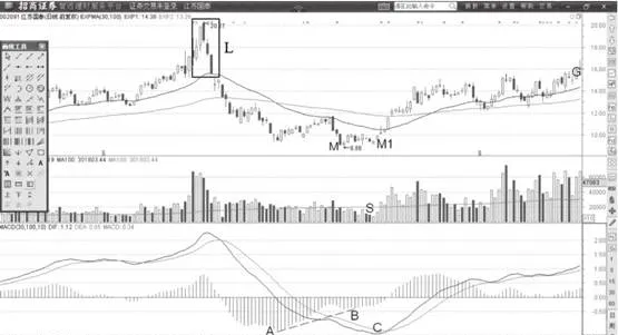 MACD柱狀線背離先於DIF線觸底 the-macd-histogram-divergence-bottoms-out-before-the-dif-line